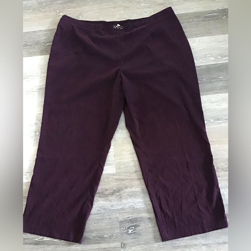 Plus Size Pennington’s Pants